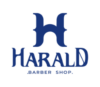 Lowongan Kerja WEB Developer di Harald Barbershop