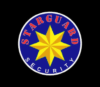 Lowongan Kerja Manager Operasional – Marketing – Security  di PT. Raksa Gamma Multidimensi Security (Starguard Security)